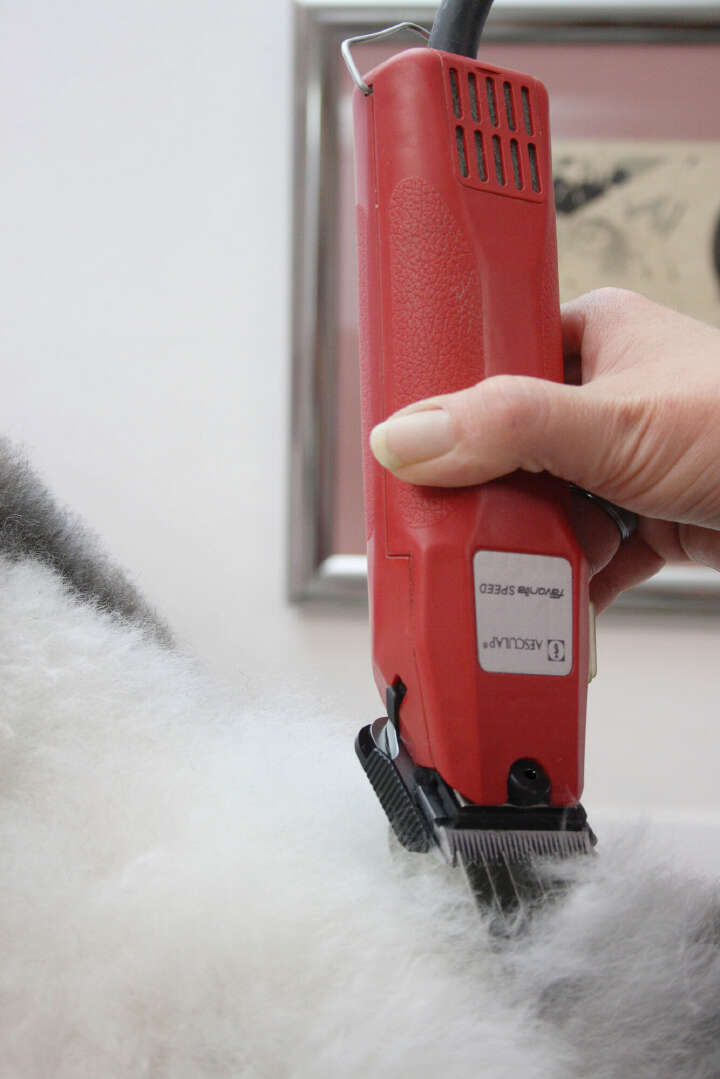 AESCULAP Schermaschine Favorita Speed